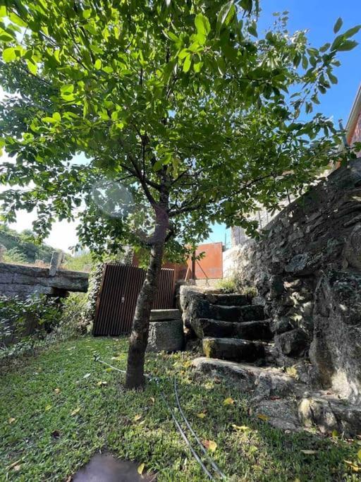 Casa Da Tintim Em Baiao Baião Exterior foto