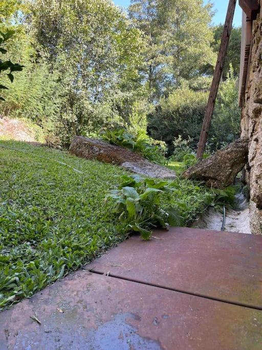 Casa Da Tintim Em Baiao Baião Exterior foto