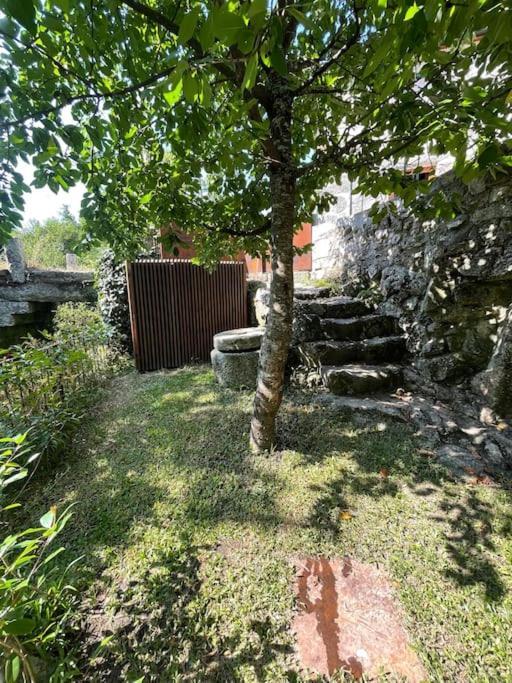 Casa Da Tintim Em Baiao Baião Exterior foto